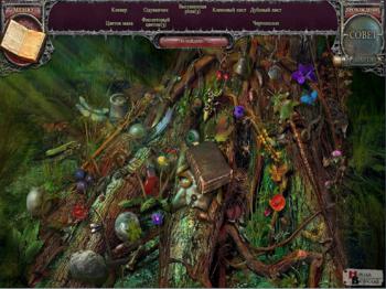 Echoes of the Past 5: The Kingdom of Despair Collector's Edition